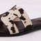 Brown White Cow Flats